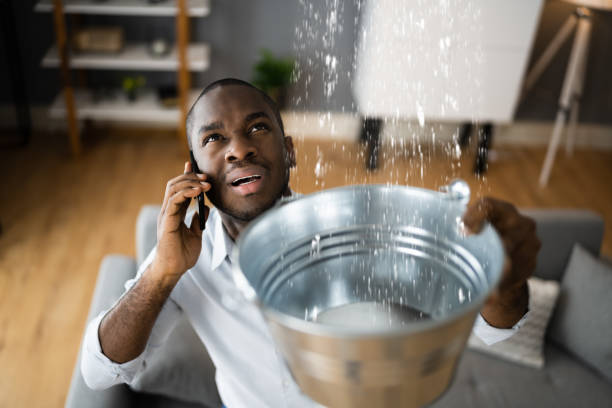 Best Emergency water extraction  in Surfside, FL