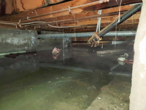 Best Commercial water damage restoration  in Surfside, FL
