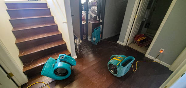 Best Water damage restoration mold remediation  in Surfside, FL