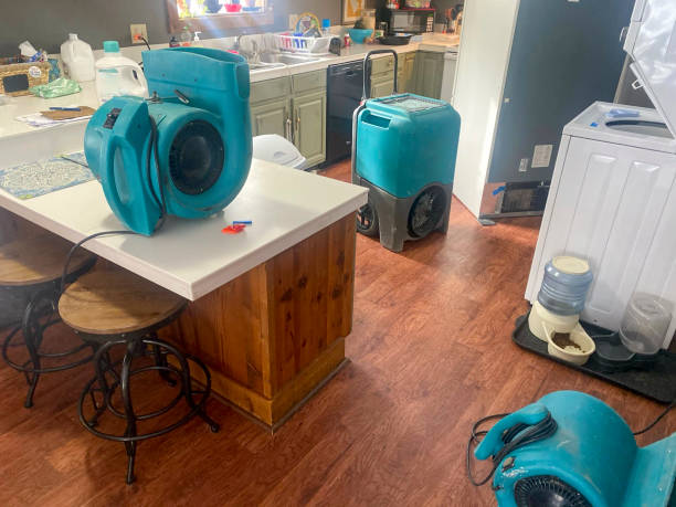 Best 24-hour water damage restoration  in Surfside, FL
