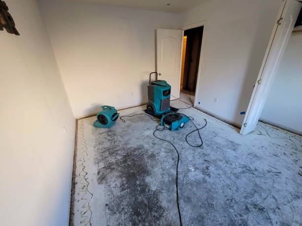 Best Carpet water damage restoration  in Surfside, FL