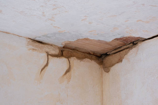 Best Residential water damage restoration  in Surfside, FL