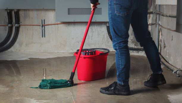 Best Water damage restoration near me  in Surfside, FL