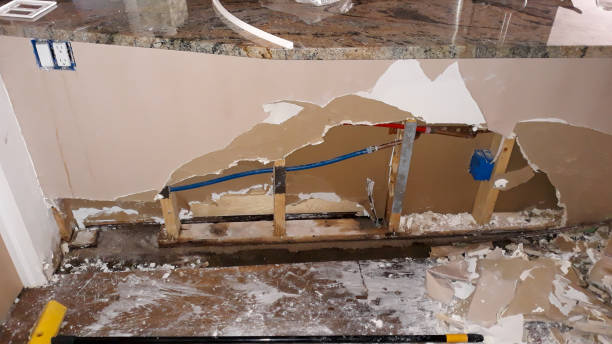 Best Basement water damage restoration  in Surfside, FL