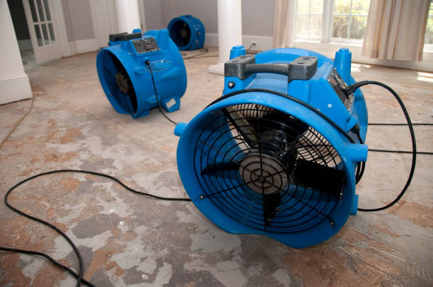  Surfside, FL Water damage restoration Pros