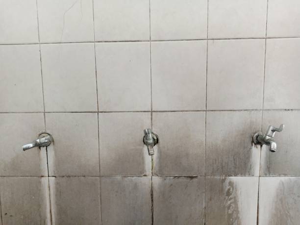 Best Professional water damage repair  in Surfside, FL