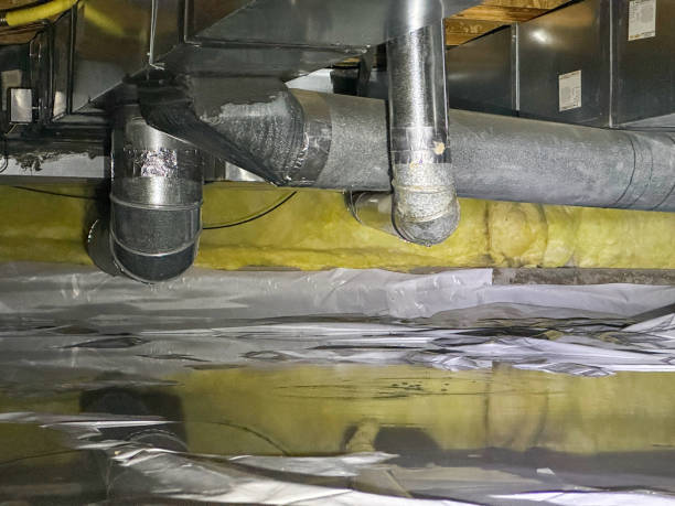 Best Water damage restoration near me  in Surfside, FL