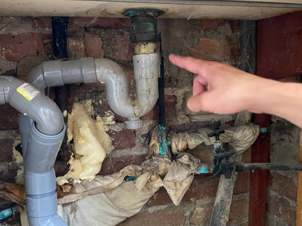 Best Mold removal after water damage  in Surfside, FL